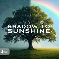 Skip Armstrong - Shadow To Sunshine