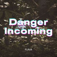 Flava - Danger Incoming