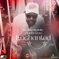 Planky Don - Enchanted
