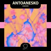 antoanesko - Aware