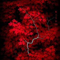 Ara Simonian - Kisum