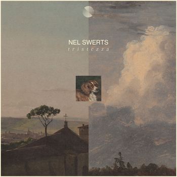 Nel Swerts - Tristezza