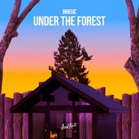 Brieuc - Under The Forest