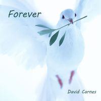 David Carnes - Forever