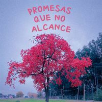 Naju - Promesas Que No Alcancé