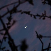 jayde - i told the moon