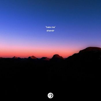 shandr - Hate Me