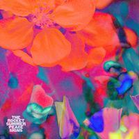 The Rocket Summer - Peace Signs