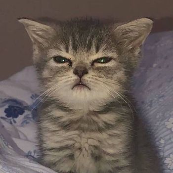 Ira - Maximo Suspense