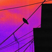 Lul Boog - Black Crow (Explicit)