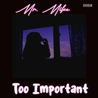Mr. Mike - Too Important (Explicit)