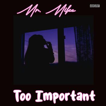 Mr. Mike - Too Important (Explicit)