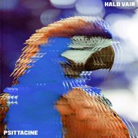 Halo Vair - Psittacine