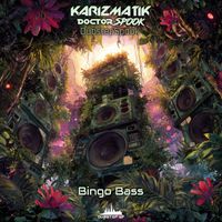 Karizmatik, DoctorSpook, Dubstep Spook - Bingo Bass