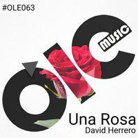 David Herrero - Una Rosa