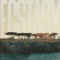 Hated - ECSTASY