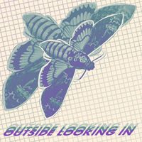 The Shape - Outside Looking In