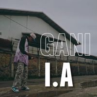 I.A - Gani (Explicit)