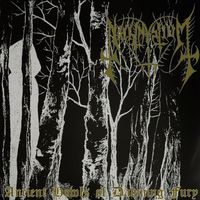 Nachtmystium - Ancient Howls of Dawning Fury