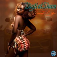 Digital Sham - Sweet Life