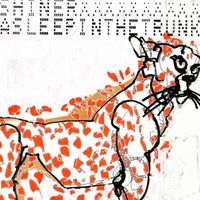 Shiner - Asleep In The Trunk