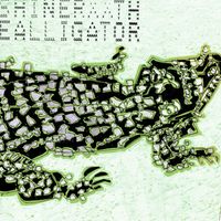 Shiner - The Alligator