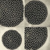 K. Leimer - Resting Forms