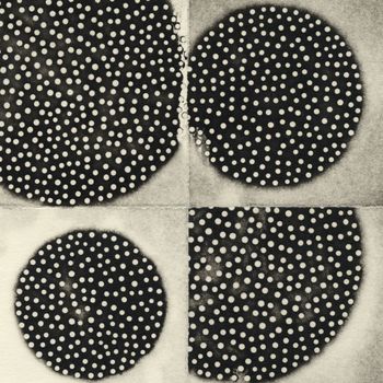 K. Leimer - Resting Forms