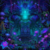Togata - New Vibez