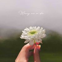 Minny - marry me or die