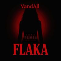 VandAll - Flaka (Explicit)
