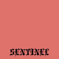KURAT - SENTINEL