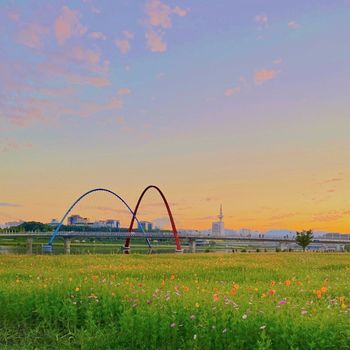 Suits and slippers - Daejeon Blues