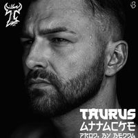 Taurus - Attacke (Explicit)