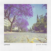 נמרוד דוויק - השחקן