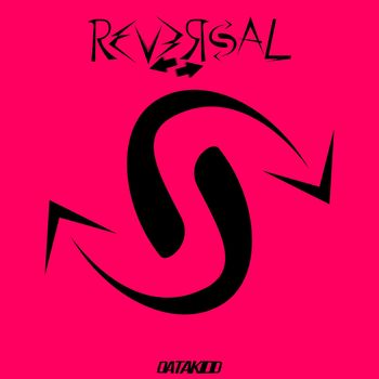 DataKidd - Reversal