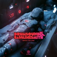 Drumsound & Bassline Smith - Back to Life