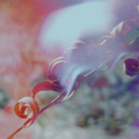 ixi - And All That Could Have Been