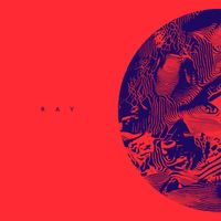 Polar System - Ray