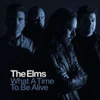 The Elms - What A Time To Be Alive