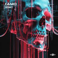 IamO - Endgame21