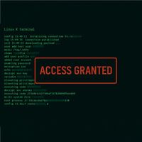 Zploit - Access Granted