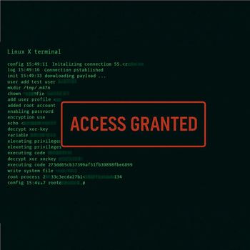 Zploit - Access Granted