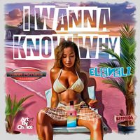 E-LEVELZ - I Wanna Know Why