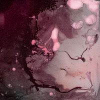 Moonlet - Starry Eyes (Baron B FilterMix)