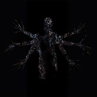 Polar System - Parasite
