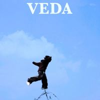VEDA - I don’t know why you