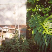 Echo Park - Lucky Charms