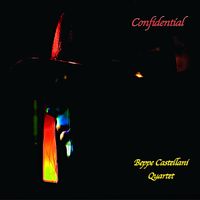 Beppe Castellani - Confidential