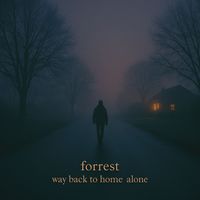 Forrest - Way back to home alone